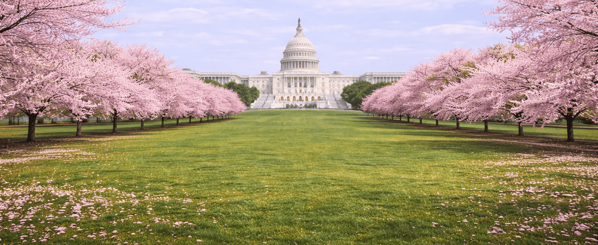 us capitol spring